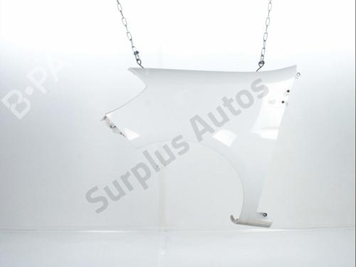 Used Left front fenders RENAULT CLIO III (BR0/1, CR0/1) 1.5 dCi (75 hp) 32077822
