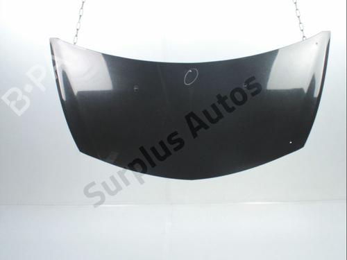 Used Hood RENAULT CLIO III (BR0/1, CR0/1) 1.5 dCi (C/BR0G, C/BR1G) (68 hp) 28237303