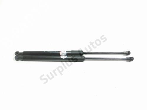 tailgate-lift-support-dacia-duster-hm_-2017-40621405 main image