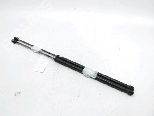 tailgate-lift-support-renault-megane-iii-coupe-dz01_-2008-2009-2010-2011-2012-2013-2014-2015-2016-31001865 main image