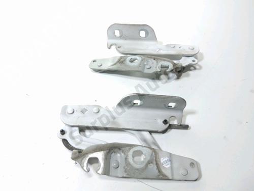 hingedoor-check-strap-ford-fiesta-vi-cb1-ccn-2008-37291835 main image