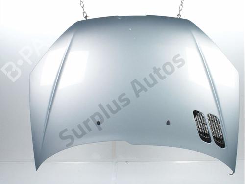 Used Hood Hood PEUGEOT 206 Hatchback (2A/C) 1.4 i (75 hp) 36314641 36314641