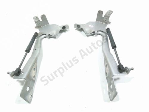 Used Hinge/Door check strap RENAULT SCÉNIC III (JZ0/1_) 1.5 dCi (110 hp) 30086298