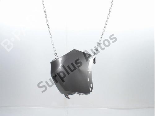 Puntera paragolpes Puntera paragolpes 39462620 39462620