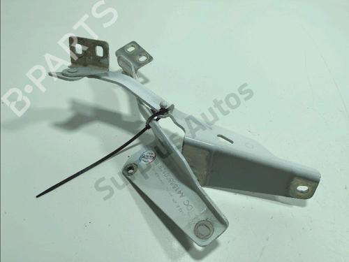 hingedoor-check-strap-renault-kangoo-express-fw01_-2008-33160238 main image