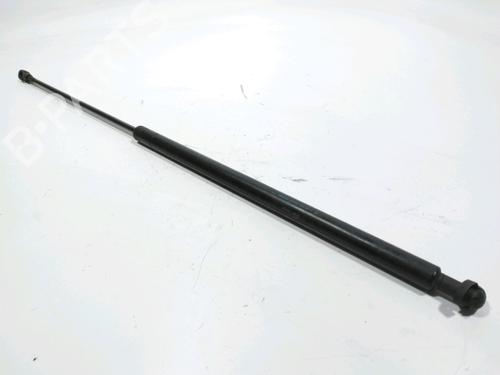 Used Hood lift support PEUGEOT 306 Hatchback (7A, 7C, N3, N5) 1.9 D (69 hp) 29857778