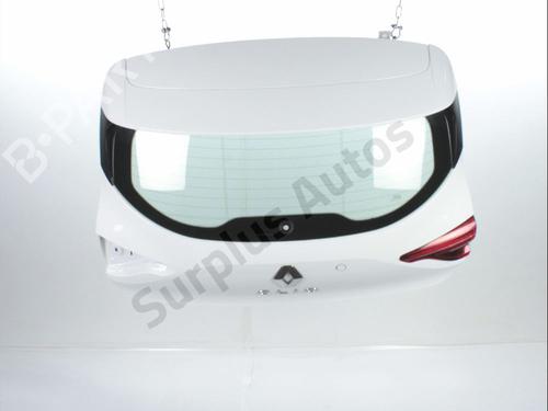 Used Tailgate RENAULT CLIO V (B7_) 1.5 Blue dCi 85 (B7AG) (86 hp) 30141459