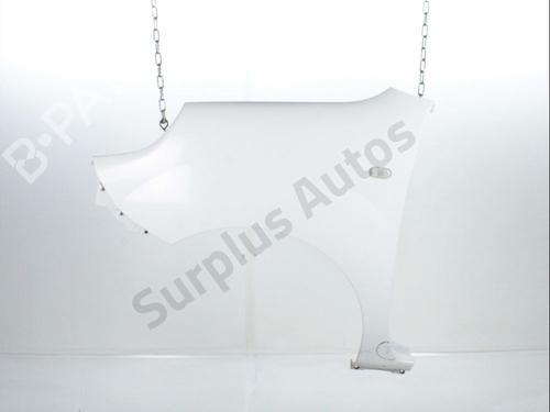 Used Left front fenders RENAULT KANGOO Express (FW0/1_) 1.5 dCi 90 (FW0G, FW05, FW08, FW11) (90 hp) 31350603