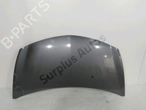 hood-renault-clio-iii-br01-cr01-2005-2006-2007-2008-2009-2010-2011-2012-2013-2014-30993660 main image