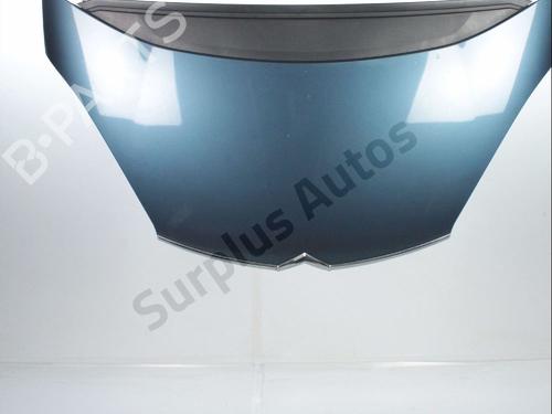 Used Hood Hood CITROËN C4 Picasso I MPV (UD_) 1.6 HDi (109 hp) 33867445 33867445