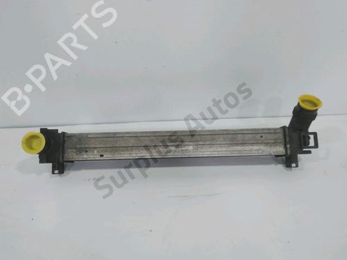 Used Intercooler Intercooler 36550195 36550195