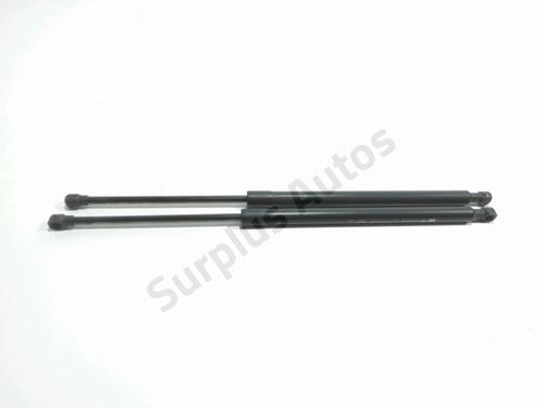 Used Tailgate lift support RENAULT SCÉNIC III (JZ0/1_) 1.6 dCi (JZ00, JZ12) (130 hp) 29496176