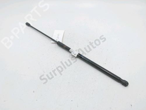 hood-lift-support-dacia-duster-hs_-2010-2011-2012-2013-2014-2015-2016-2017-2018-30993819 main image