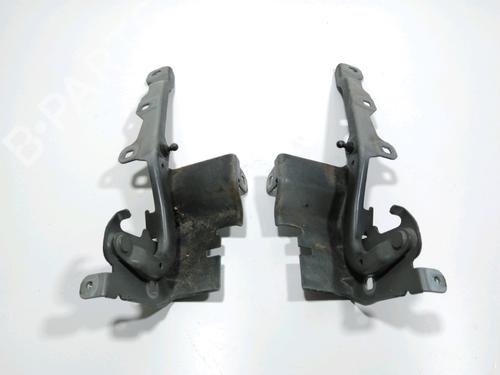 hingedoor-check-strap-renault-latitude-l70_-2010-28237510 main image
