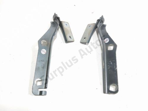 hingedoor-check-strap-citroen-berlingo-multispace-b9-2008-33111984 main image