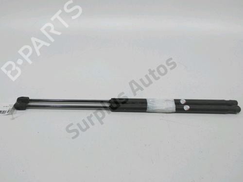 tailgate-lift-support-peugeot-1007-km_-2005-31001994 main image