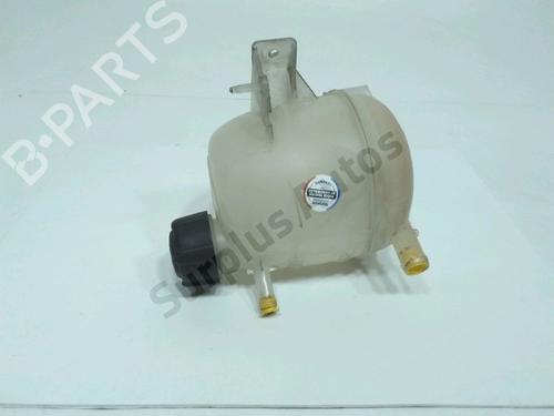 expansion-tank-dacia-duster-hs_-2010-2011-2012-2013-2014-2015-2016-2017-2018-28223121 main image
