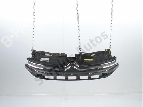 Grill Grill CITROËN C3 III (SX) 1.2 THP 110 (SXHNPS, SXHNZT, SXHNZ6) (110 hp) 33973994 33973994