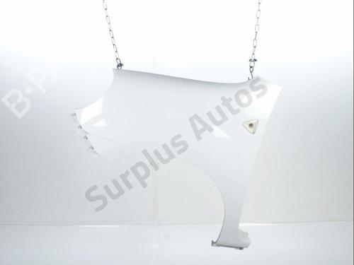 Used Left front fenders RENAULT KANGOO Express (FW0/1_) 1.5 dCi 70 (FW0A, KW0V) (68 hp) 29172769