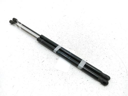 tailgate-lift-support-renault-scenic-ii-jm01_-2003-2004-2005-2006-2007-2008-2009-2010-31001820 main image