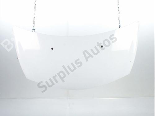 Used Hood RENAULT CLIO III (BR0/1, CR0/1) 1.5 dCi (C/BR0G, C/BR1G) (68 hp) 29857758