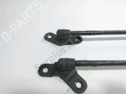 Tailgate lift support FORD KUGA II (DM2) 2.0 TDCi | BP31964321C138