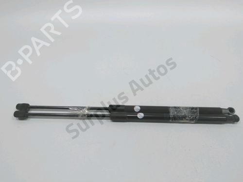 Used Tailgate lift support SKODA FABIA II (542) 1.6 TDI (90 hp) 31002007