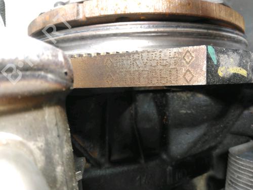 Engine RENAULT KOLEOS I (HY_) 2.0 dCi 4x4 (HY0B) | BP28218754M1 - Image 5