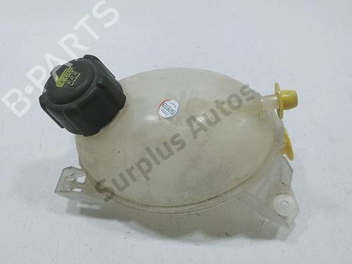 expansion-tank-dacia-duster-hs_-2010-2011-2012-2013-2014-2015-2016-2017-2018-39737276 main image