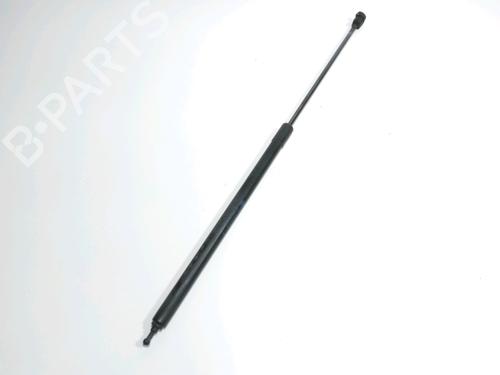 Used Hood lift support RENAULT MEGANE III Hatchback (BZ0/1_, B3_) 1.9 dCi (BZ0N, BZ0J) (131 hp) 28237772