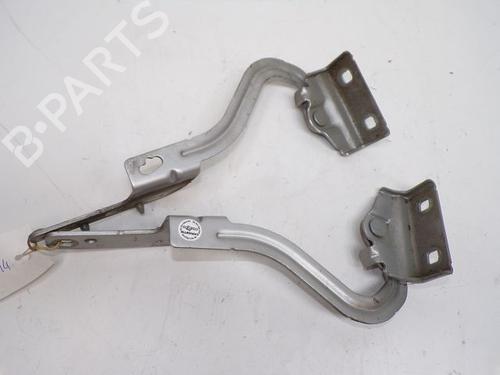 Hinge/Door check strap RENAULT MODUS / GRAND MODUS (F/JP0_) 1.5 dCi (FP0F, JP0F) | BP28237458C146 