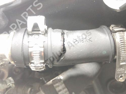 Engine FIAT PANDA (169_) 1.3 D Multijet (169.AXC1A) | BP40251751M1 - Image 6