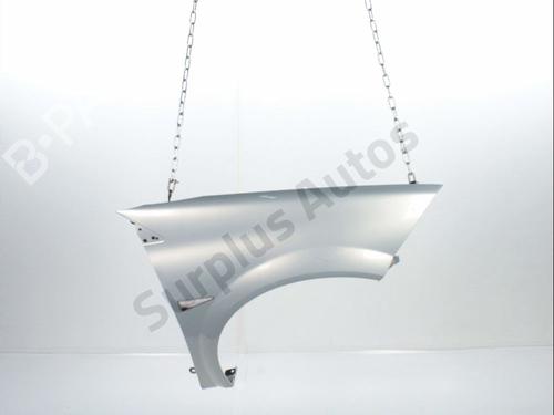 Used Right front fenders RENAULT MEGANE II (BM0/1_, CM0/1_) 1.4 16V (82 hp) 28235946