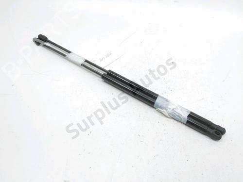 Used Tailgate lift support LANCIA YPSILON (312_) 1.3 D Multijet (312.YXE1A, 312.YXU1A) (95 hp) 31001916