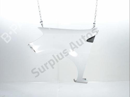 Used Left front fenders RENAULT CLIO III (BR0/1, CR0/1) 1.5 dCi (75 hp) 30166504