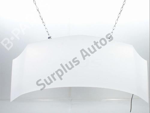 hood-renault-kangoo-express-fw01_-2008-35719941 main image