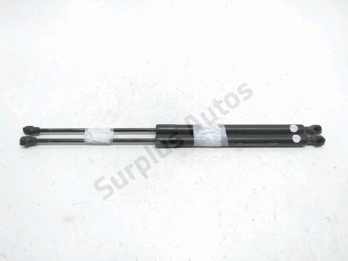 tailgate-lift-support-dacia-lodgy-js_-2012-40060467 main image