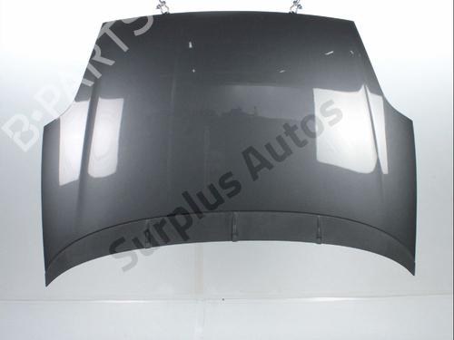 hood-fiat-punto-199_-2012-37772126 main image