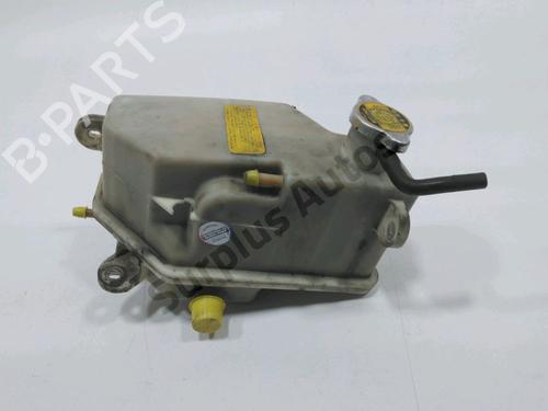 Vaso de expansão RENAULT KANGOO / GRAND KANGOO II (KW0/1_) 1.5 dCi 85 (KW0K, KW0L, KW0B) (86 hp) 30986445