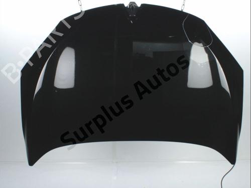 Motorhaube für RENAULT MEGANE III Coupe (DZ0/1_) 2.0 TCe (DZ1N) (250 hp) 32181463