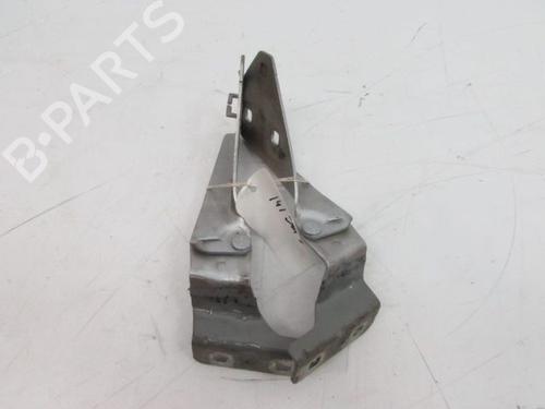 Hinge/Door check strap RENAULT MEGANE II (BM0/1_, CM0/1_) 1.9 dCi (BM0G, CM0G) | BP28237454C146
