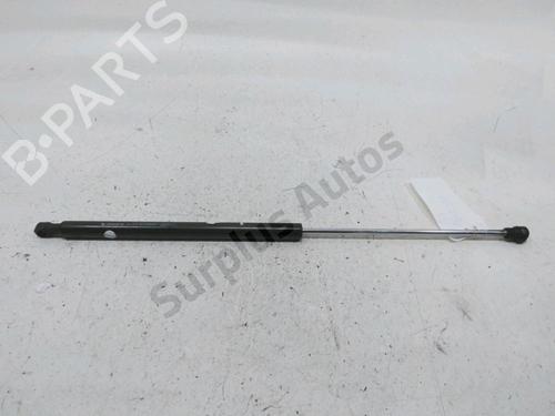 Hood lift support DACIA SANDERO II 1.2 | BP30993825C139
