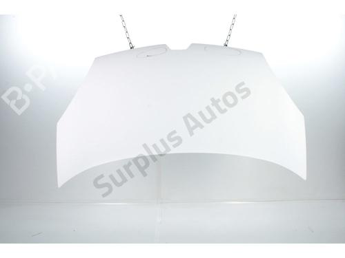 Used Hood RENAULT KANGOO / GRAND KANGOO II (KW0/1_) 1.5 dCi 90 (KW05, KW08, KW0G, KW11) (90 hp) 30958186