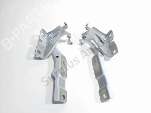 hingedoor-check-strap-dacia-sandero-iii-2021-32260853 main image