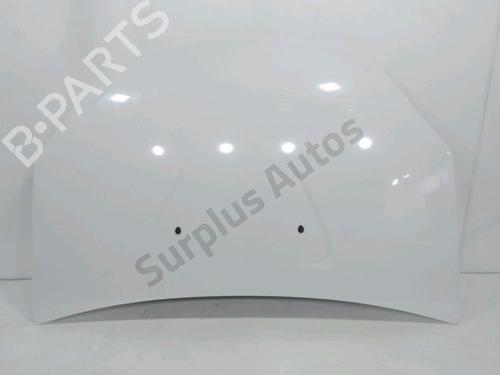 hood-dacia-sandero-2008-37291808 main image