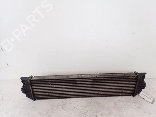 Intercooler RENAULT MASTER II Van (FD) [1997-2013]  30984299