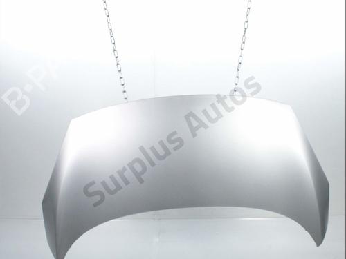Used Hood RENAULT SCÉNIC III (JZ0/1_) 1.5 dCi (110 hp) 30086286