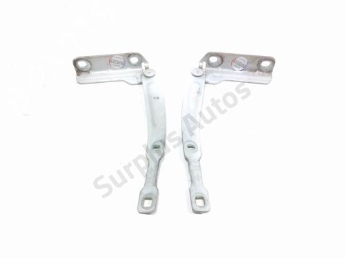 hingedoor-check-strap-dacia-lodgy-js_-2012-40464732 main image