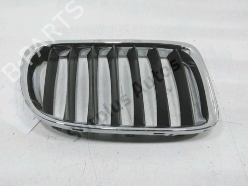 Used Grille BMW X1 (E84) sDrive 18 d (143 hp) 30993125