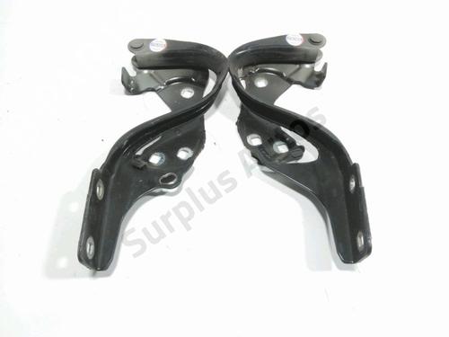 hingedoor-check-strap-fiat-500-312_-2007-36105536 main image